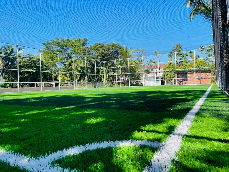 Low view across the turf in sunshine, white lines and netting overhead
