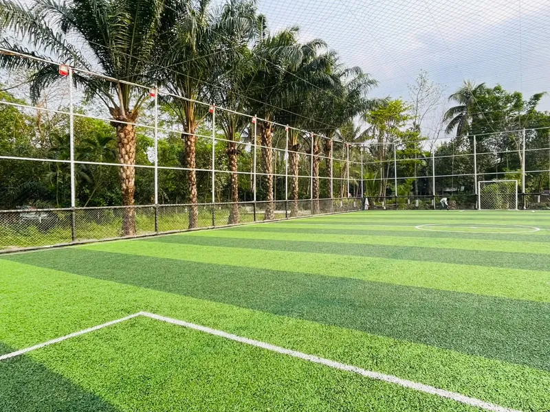 The pitch in daylight, striped turf with palm trees along the fence