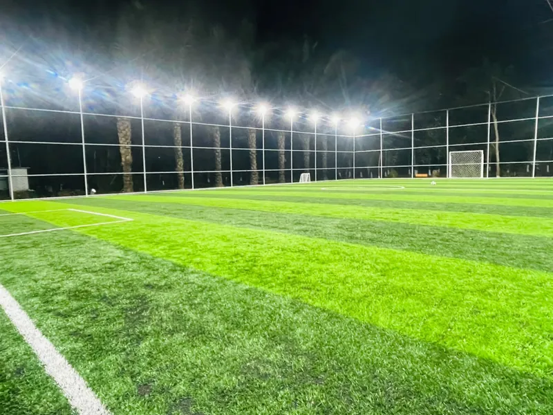 The pitch at night under the floodlights, palm trees behind the fence