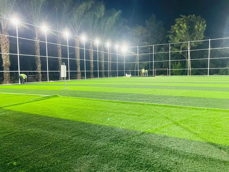 Wide view of the striped turf at night, floodlights along the palm-tree side